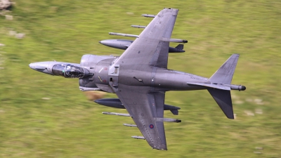 Photo ID 40684 by John Higgins. UK Air Force British Aerospace Harrier GR 9, ZD375