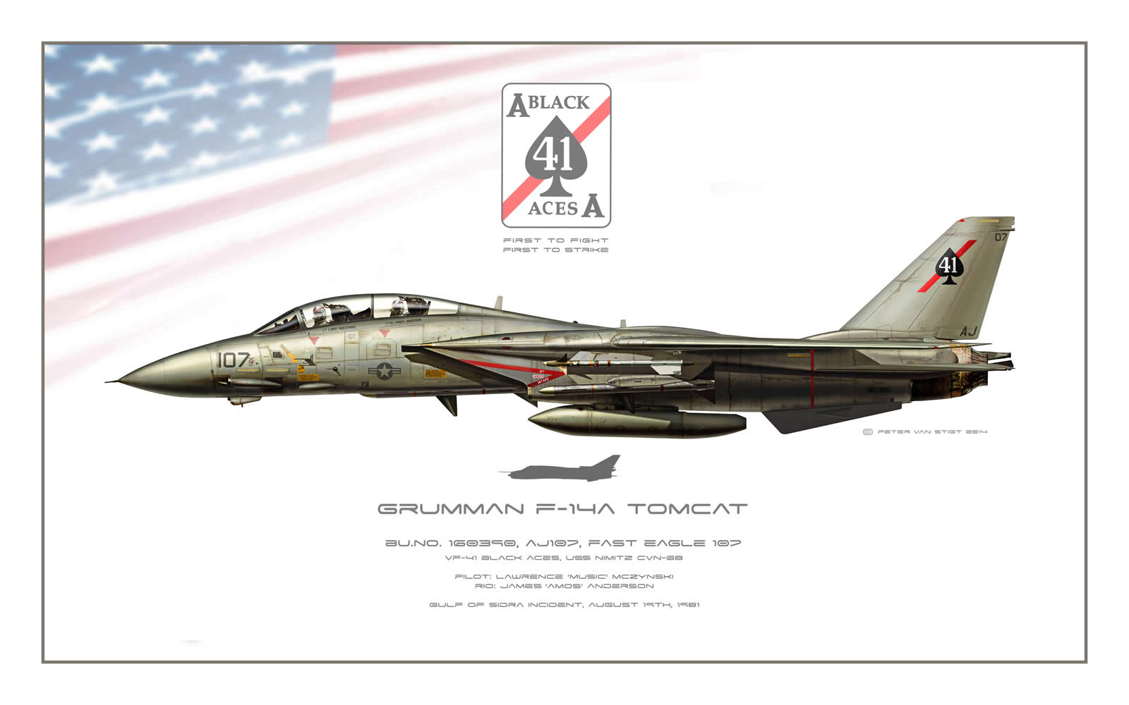 VF-41 Black Aces Fast Eagle F-14 Tomcat Profile