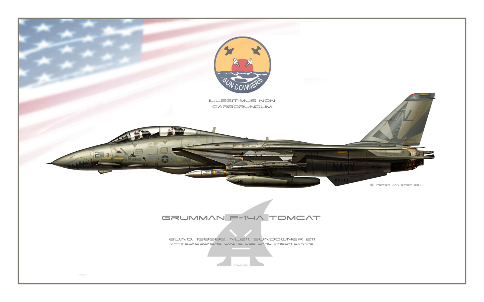 VF-111 Sundowners Low-viz F-14A Tomcat Profile