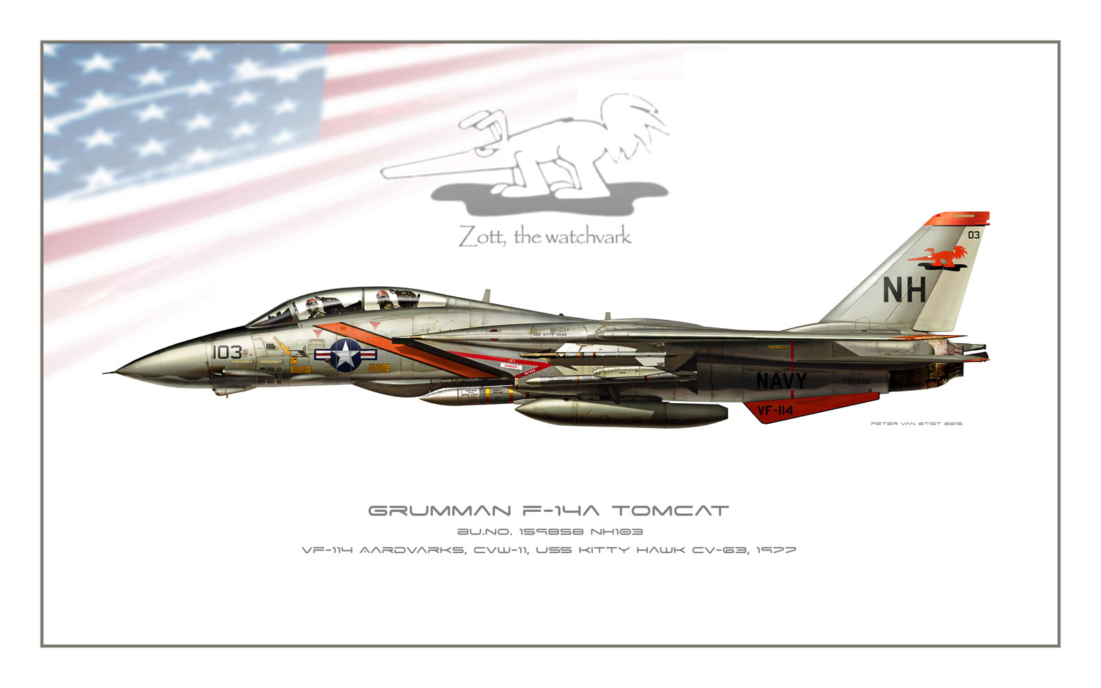 VF-114 Aardvarks F-14 Tomcat Profile