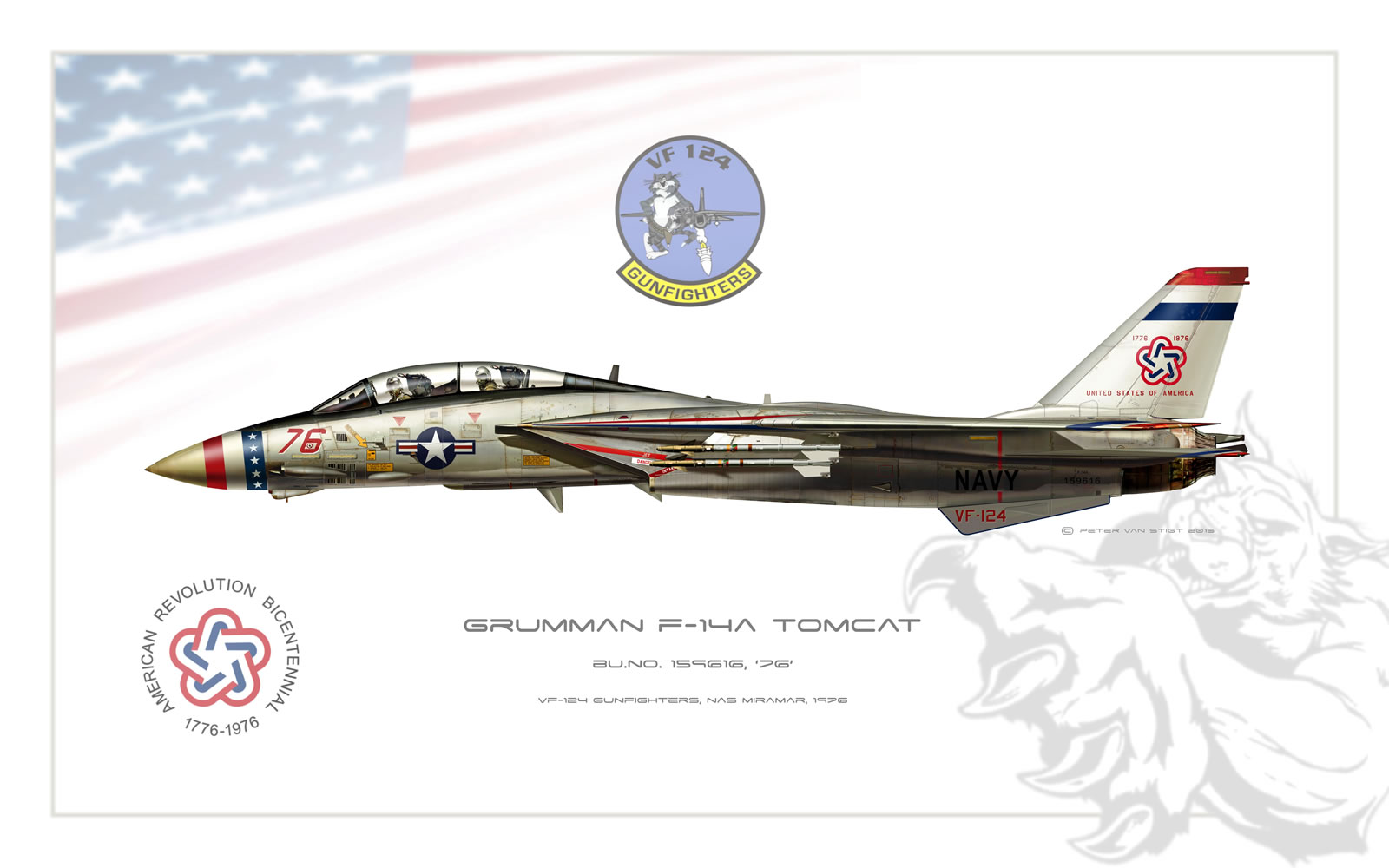 VF-124 Gunfighters Bicentennial F-14 Tomcat Profile