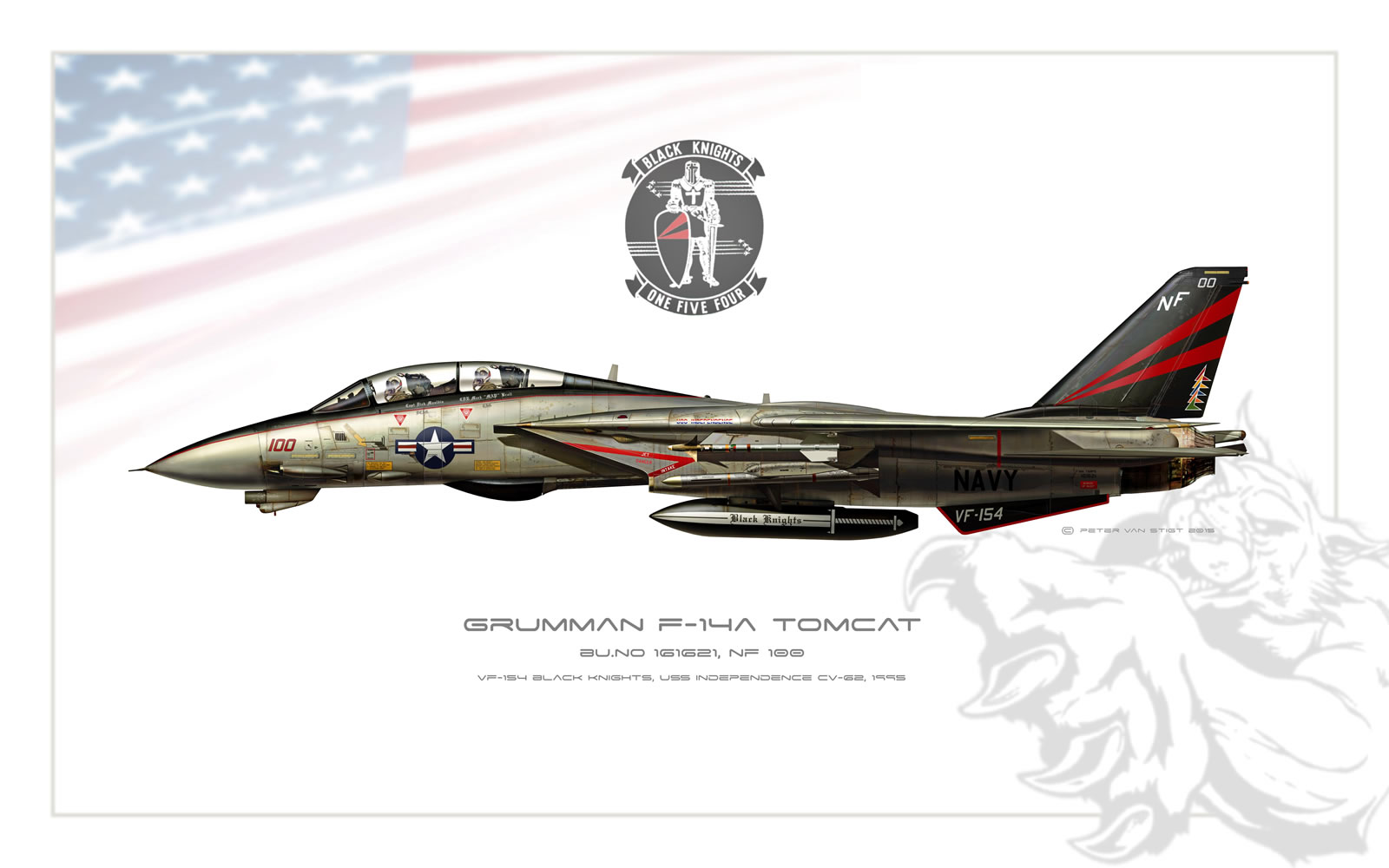 VF-154 Black Knights F-14 Tomcat Profile