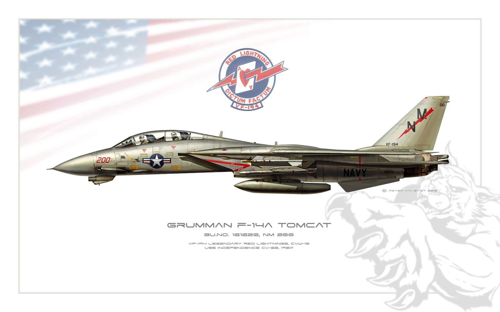 VF-194 Red Lightnings F-14 Tomcat Profile
