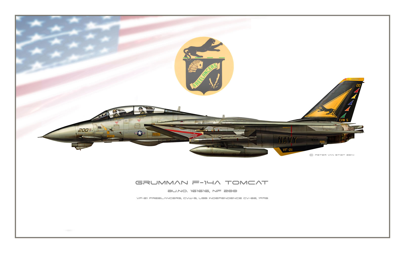 VF-21 Freelancers F-14 Tomcat Profile