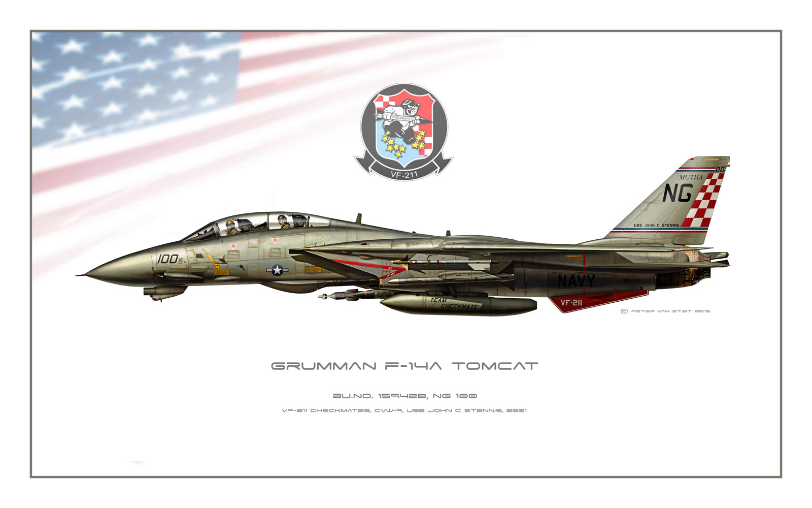 VF-211 Checkmates F-14A Tomcat Profile