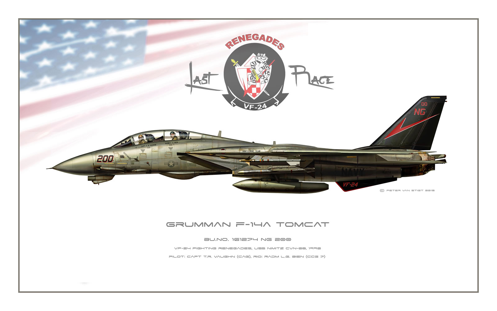 VF-24 Renegades F-14A Tomcat Profile