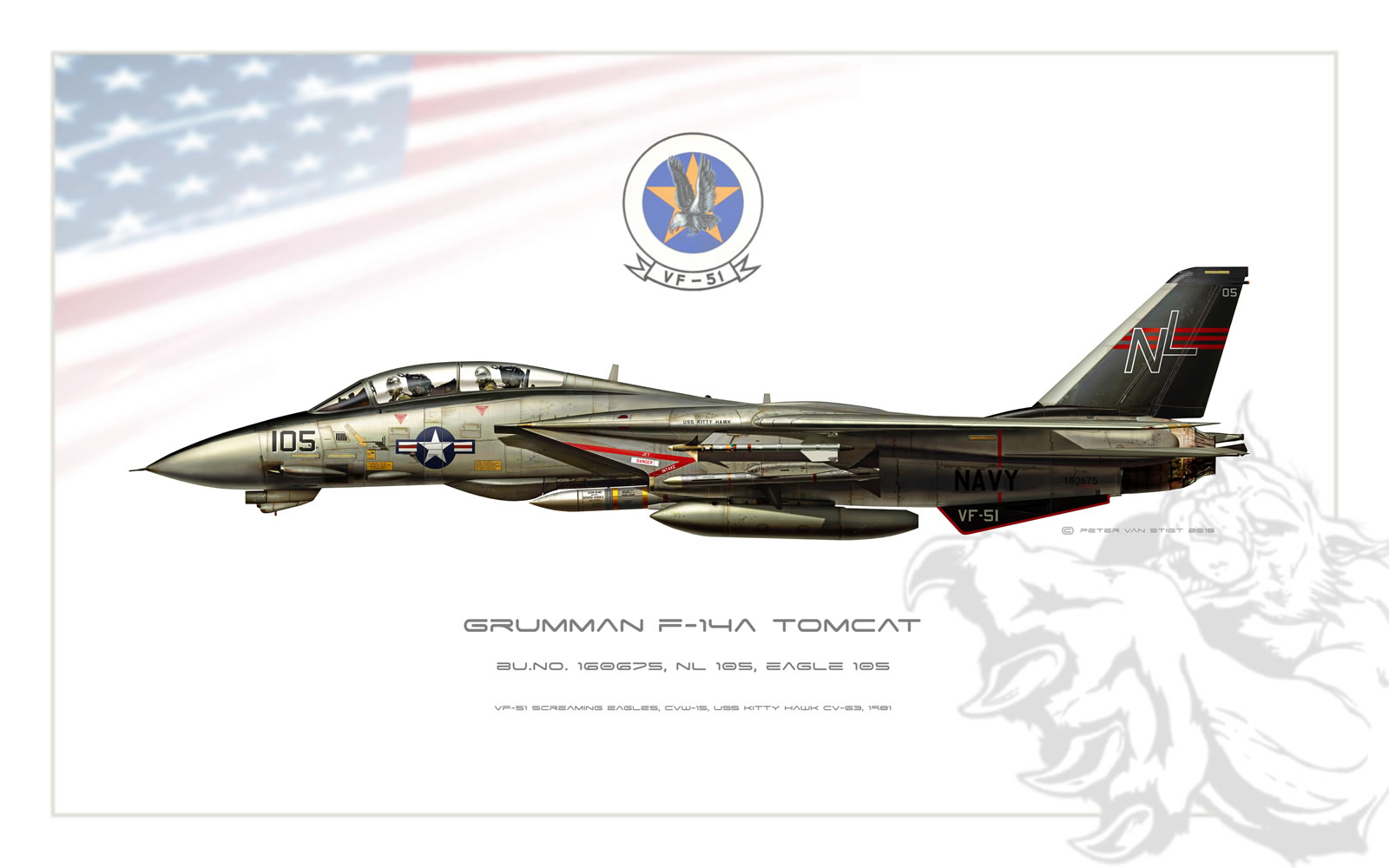VF-51 Screaming Eagles F-14 Tomcat Profile