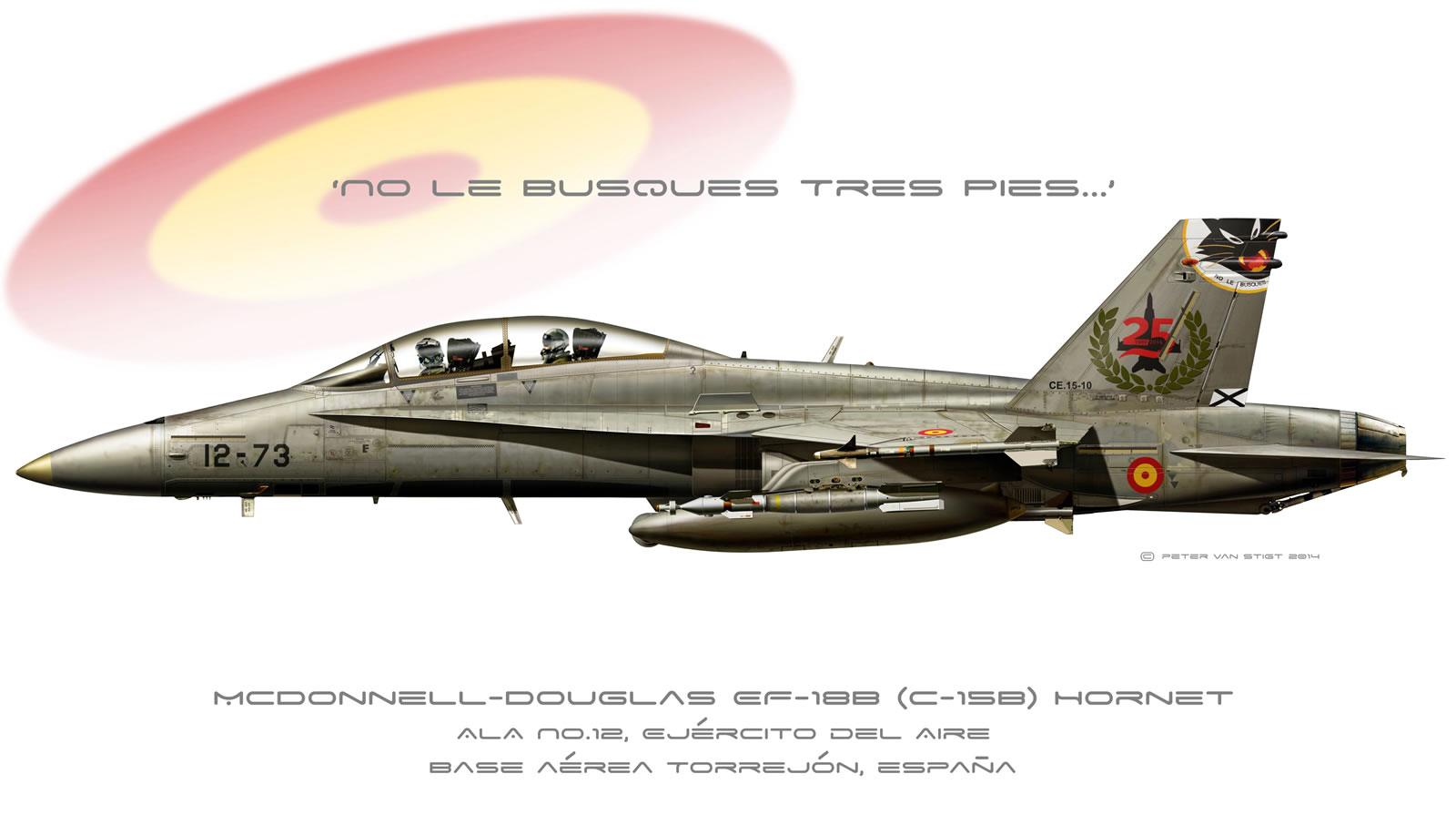 Spanish Air Force Hornet Profile
