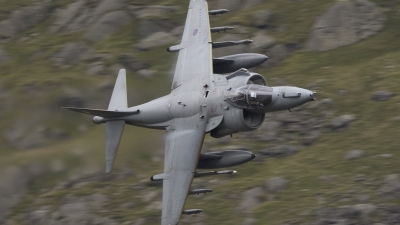 Photo ID 39145 by Tom Gibbons. UK Air Force British Aerospace Harrier GR 9, ZD438